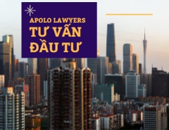 Tư vấn luật doanh nghiệp, đầu tư trong nước & nước ngoài