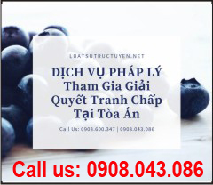 Dịch Vụ Tham Gia Giải Quyết Tranh Chấp Tại Tòa Án