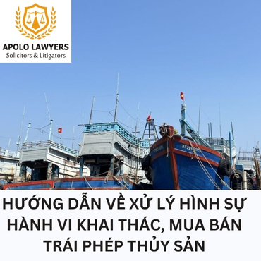 Hướng dẫn về xử lý hình sự hành vi khai thác, mua bán trái phép thủy sản 