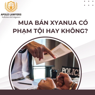 Mua bán xyanua có phạm tội hay không?