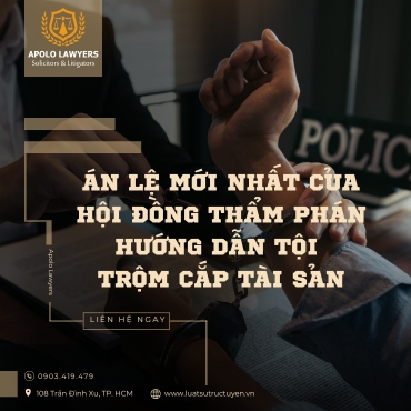 Án lệ mới nhất của Hội đồng Thẩm phán hướng dẫn Tội trộm cắp tài sản