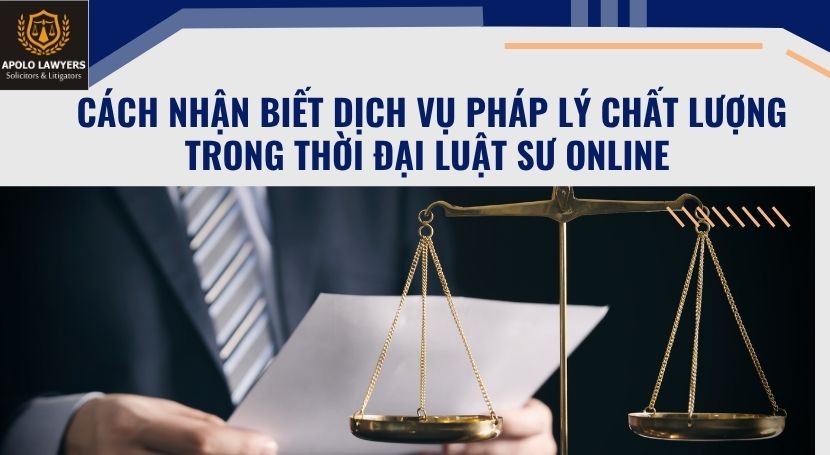 dịch vụ luật sư apolo lawyers