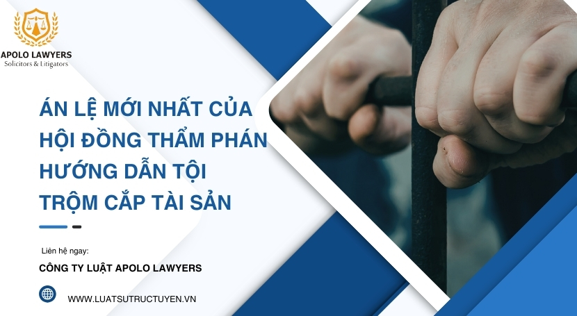 Án lệ mới nhất của Hội đồng Thẩm phán hướng dẫn Tội trộm cắp tài sản