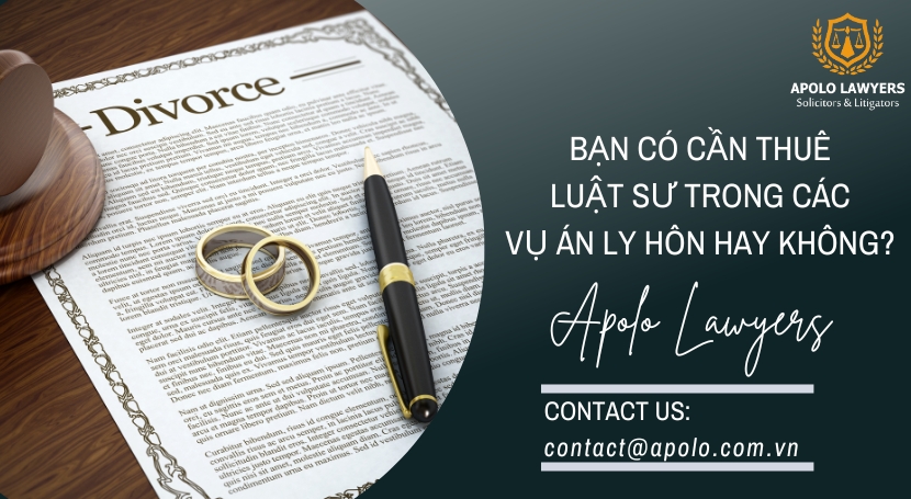 Dịch vụ luật sư Apolo Lawyers