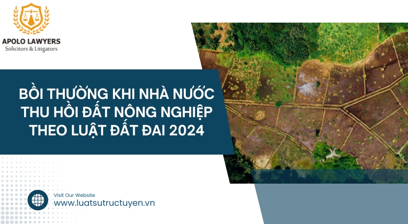 Dịch vụ luật sư Apolo Lawyers