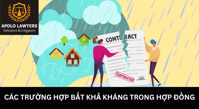 Dịch vụ luật sư Apolo Lawyers