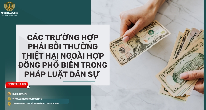 Dịch vụ luật sư Apolo Lawyers