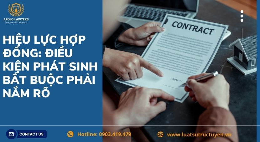 Dịch vụ luật sư Apolo Lawyers