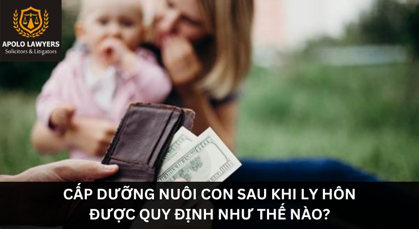 Dịch vụ luật sư Apolo Lawyers