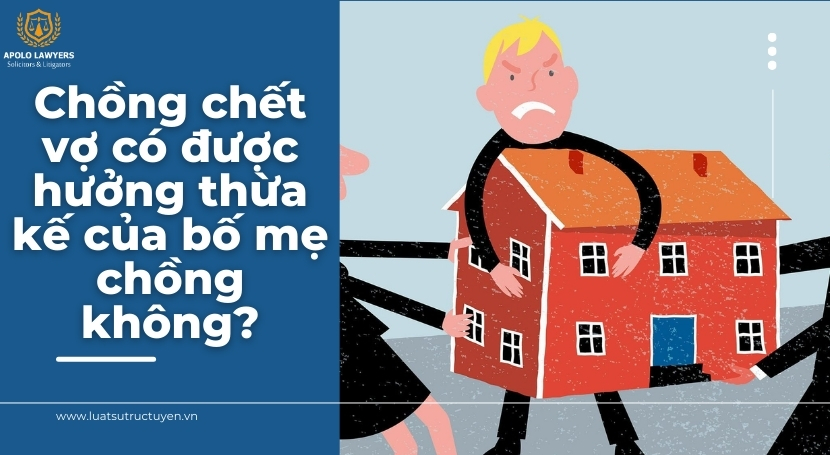 Dịch vụ luật sư Apolo Lawyers