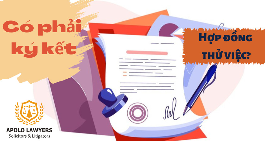 dich-vu-luat-su-apolo-lawyers