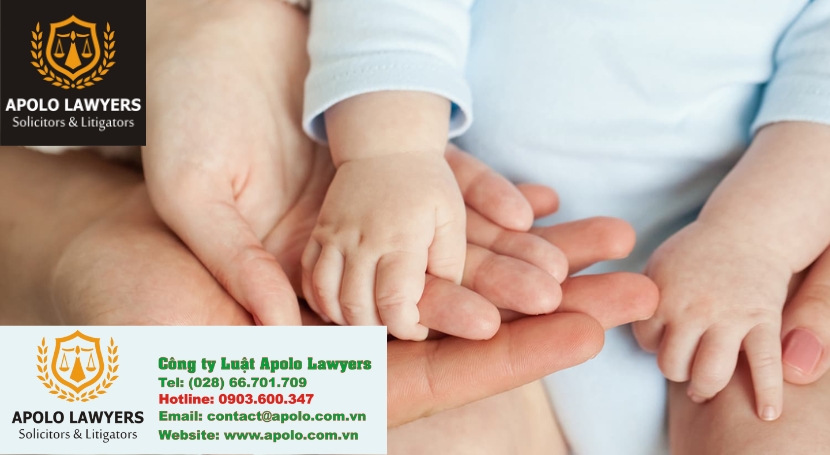 Dịch vụ luật sư Apolo Lawyers