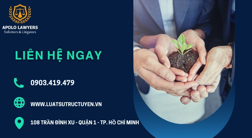 Dịch vụ luật sư Apolo Lawyers