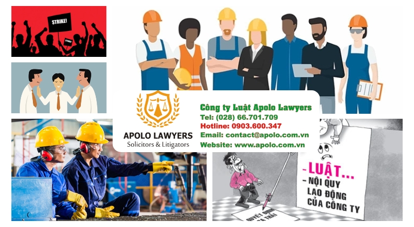 Dịch vụ luật sư Apolo Lawyers
