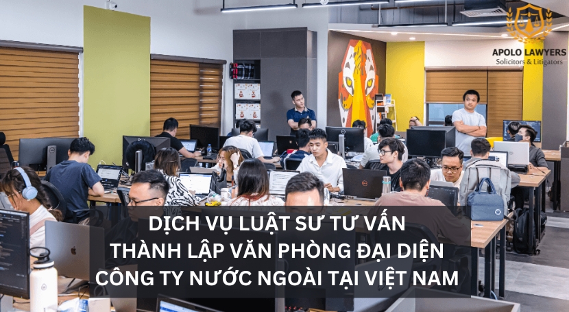 Dịch vụ luật sư Apolo Lawyers