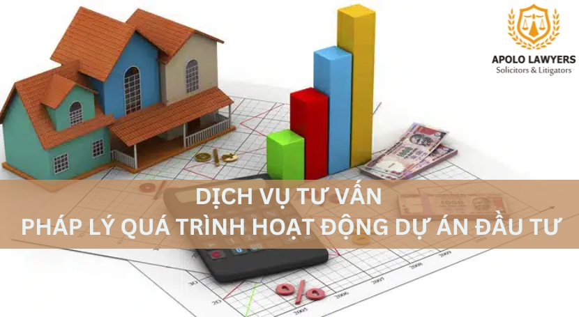 Dịch vụ luật sư Apolo Lawyers