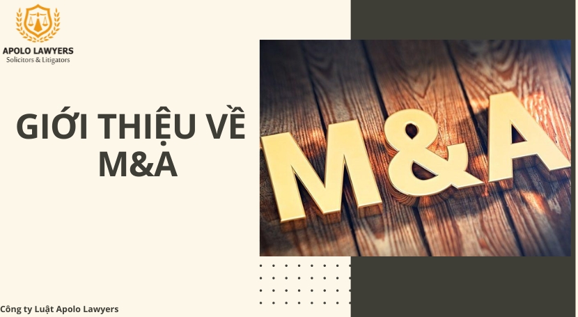 Dịch vụ luật sư Apolo Lawyers