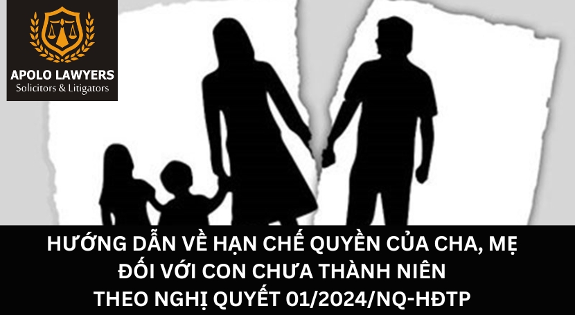 Dịch vụ luật sư Apolo Lawyers