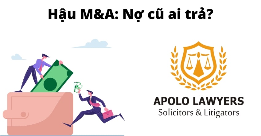 dich-vu-luat-su-apolo-lawyers