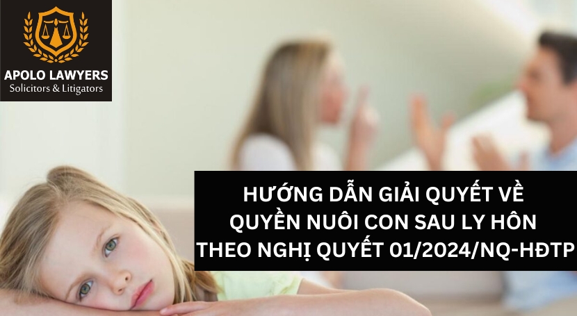 Dịch vụ luật sư Apolo Lawyers