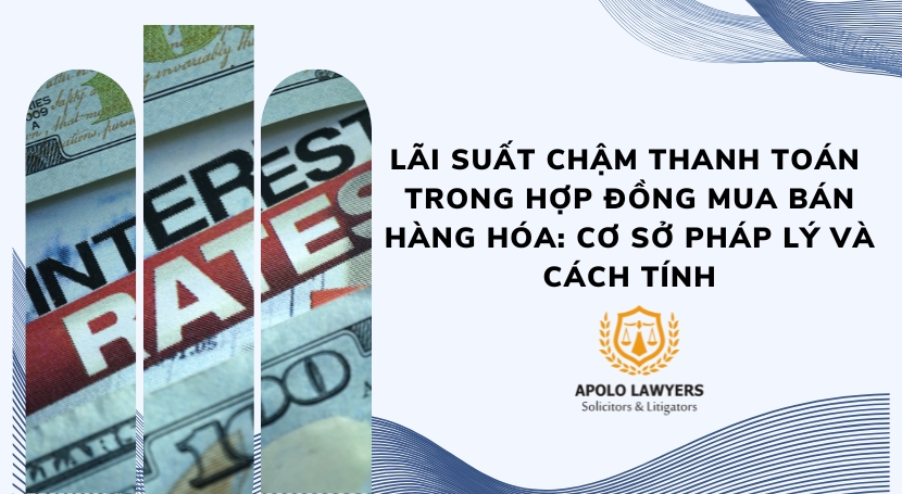 Dịch vụ luật sư Apolo Lawyers