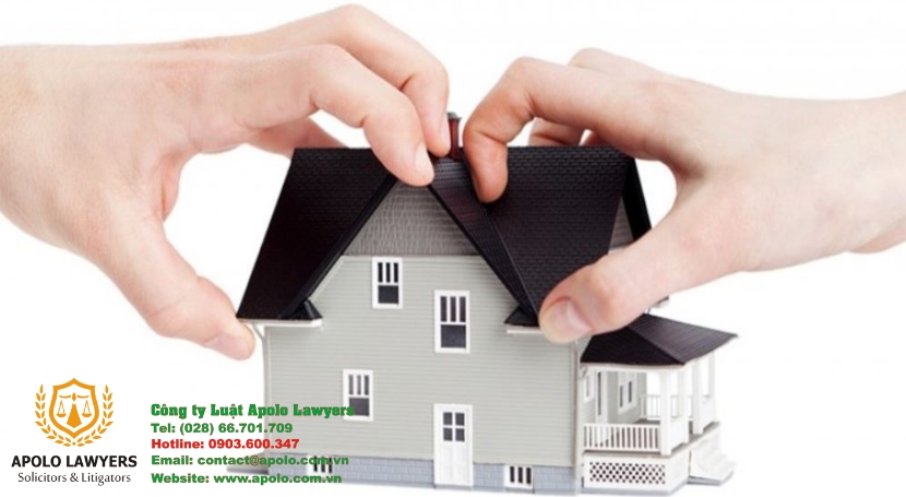 Dịch vụ luật sư Apolo Lawyers