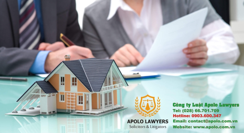 Dịch vụ luật sư Apolo Lawyers
