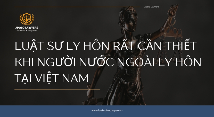 Dịch vụ luật sư apolo lawyers