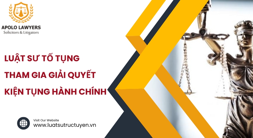 Dịch vụ luật sư Apolo Lawyers