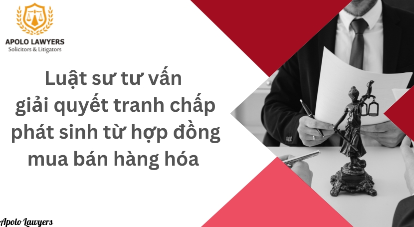 Dịch vụ luật sư Apolo Lawyers