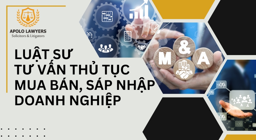 Dịch vụ luật sư Apolo Lawyers