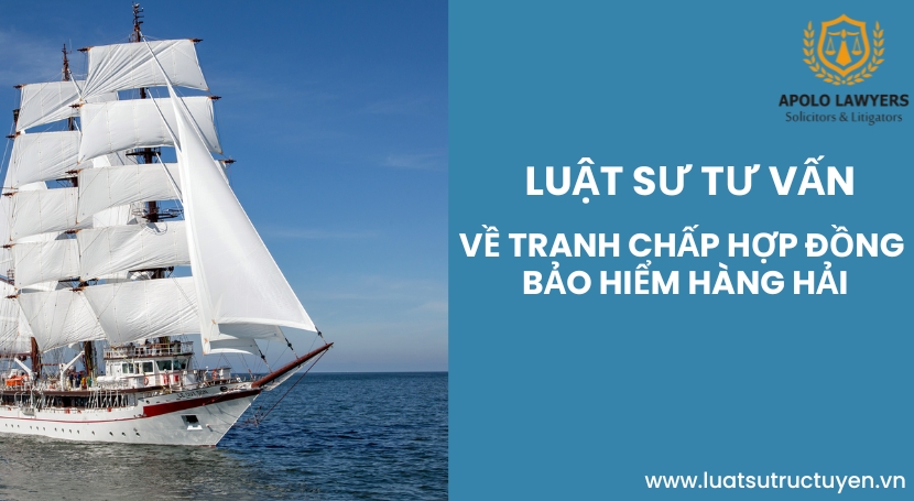 Dịch vụ luật sư Apolo Lawyers