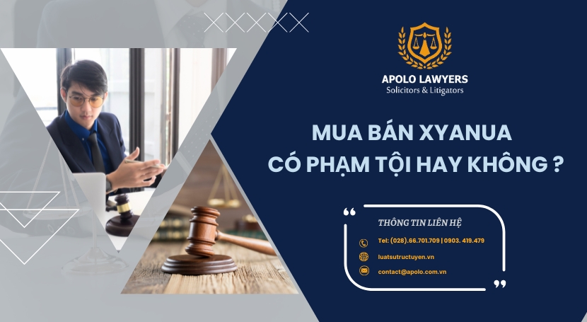 Dịch vụ luật sư Apolo Lawyers
