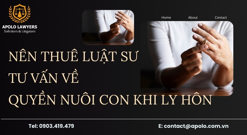 Dịch vụ luật sư apolo lawyers