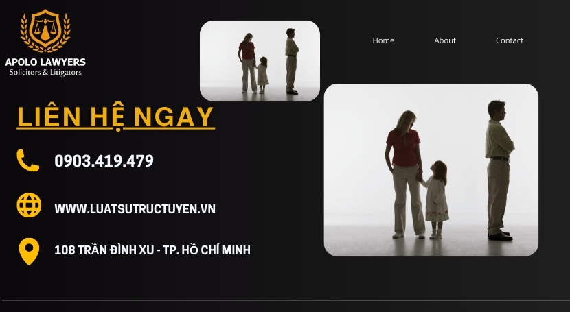 Dịch vụ luật sư apolo lawyers