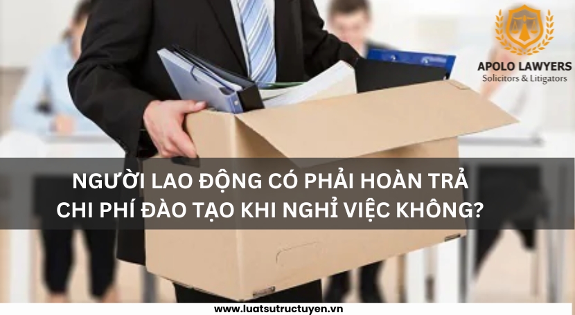 Dịch vụ luật sư Apolo Lawyers
