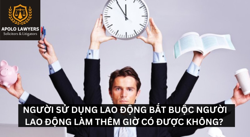 Dịch vụ luật sư Apolo Lawyers