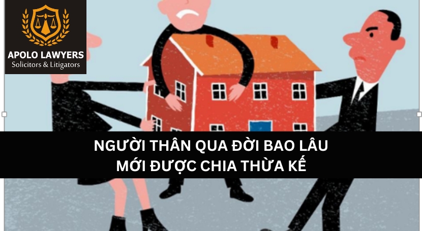 Dịch vụ luật sư Apolo Lawyers