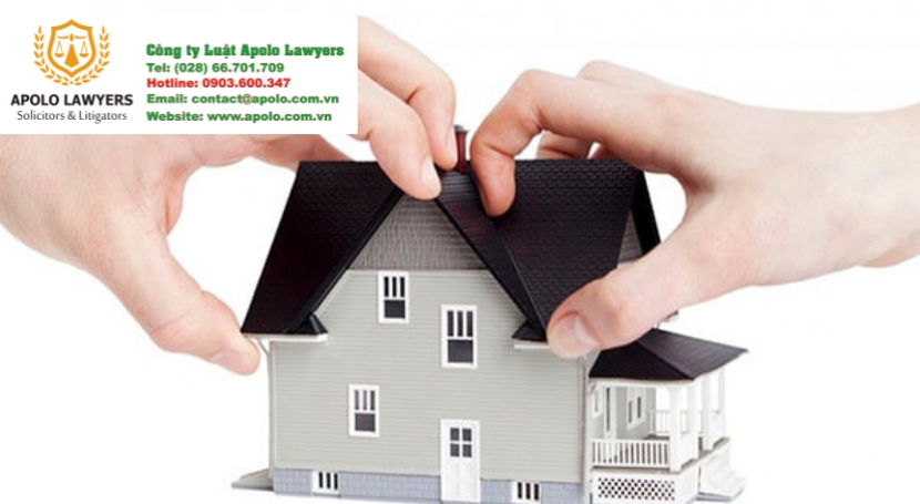 Dịch vụ luật sư Apolo Lawyers