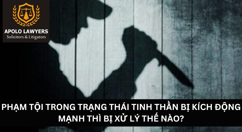 Dịch vụ luật sư Apolo Lawyers