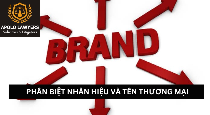 Dịch vụ luật sư Apolo Lawyers