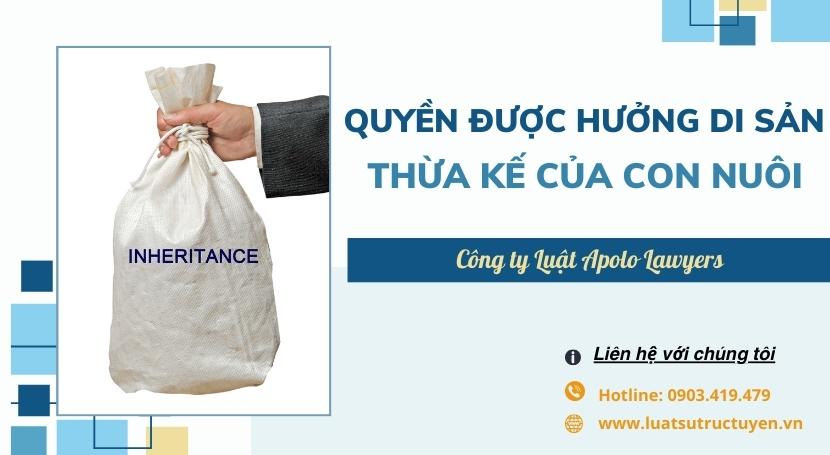 Dịch vụ luật sư Apolo Lawyers