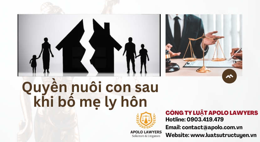 Dịch vụ luật sư Apolo Lawyers