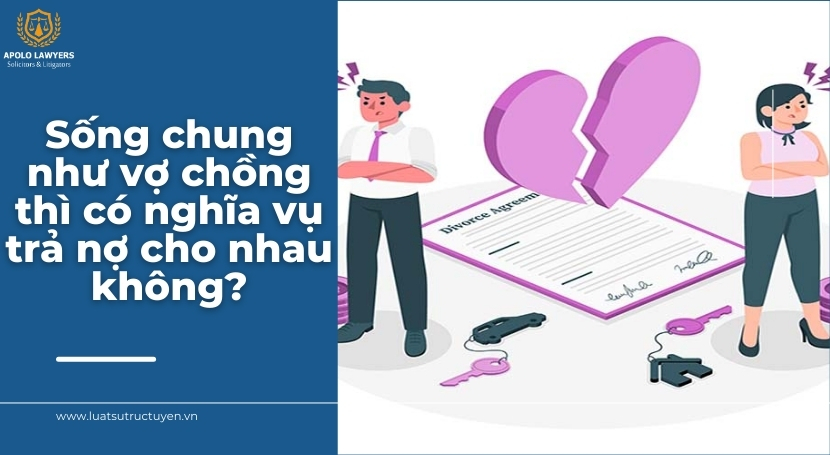Dịch vụ luật sư Apolo Lawyers