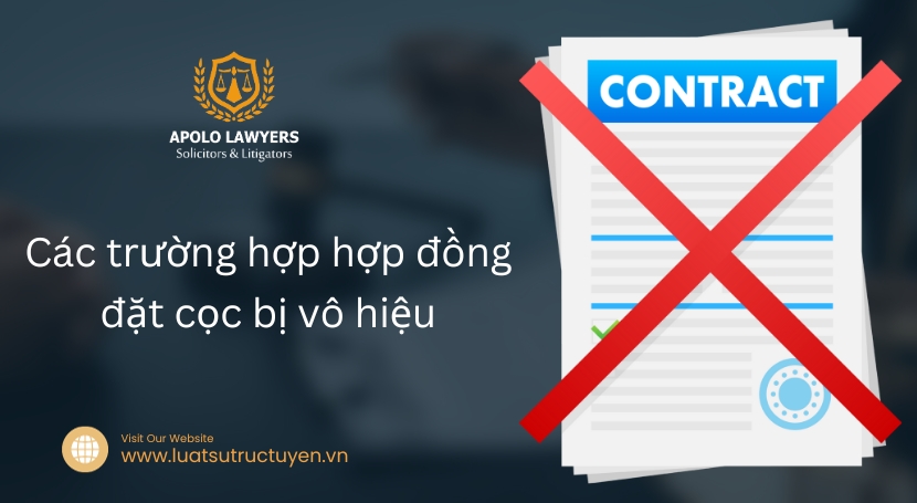 Dịch vụ luật sư Apolo Lawyers