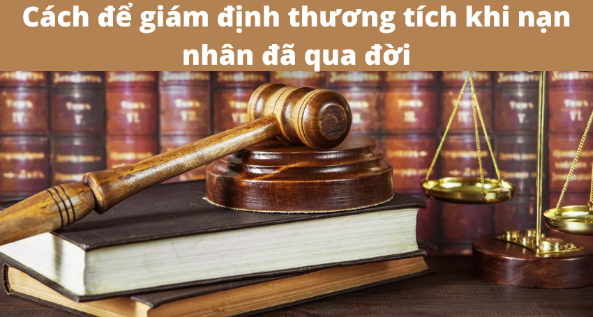 dich-vu-luat-su-apolo-lawyers