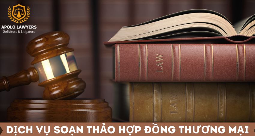 dich-vu-luat-su-apolo-lawyers