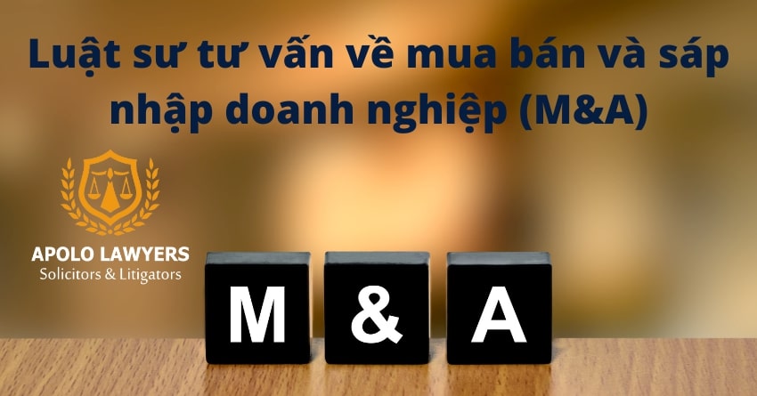 dich-vu-luat-su-apolo-lawyers