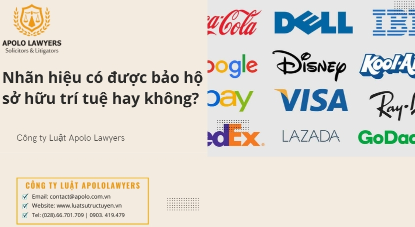 Dịch vụ luật sư Apolo Lawyers