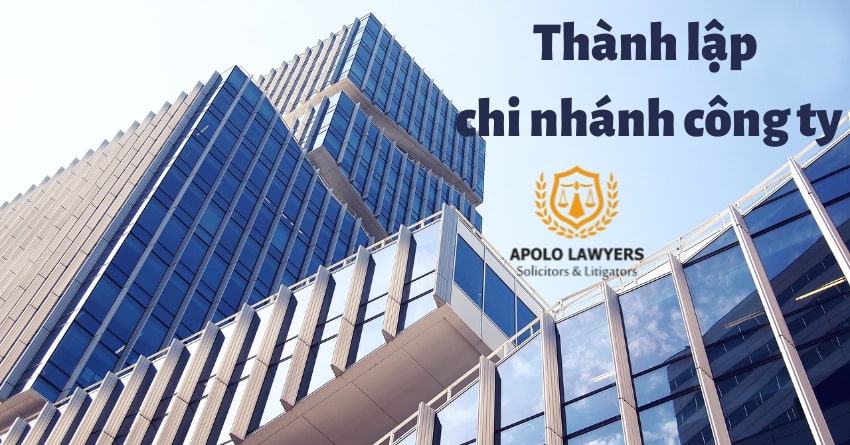 dich-vu-luat-su-apolo-lawyers